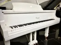 Беларусь B-162W Рояль кабинетный, белый Беларусь B-162W Рояль кабинетный, белый