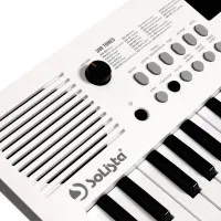 SOLISTA SK49WH Синтезатор 49 клавиш, цвет белый SOLISTA SK49WH Синтезатор 49 клавиш, цвет белый