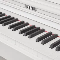 Becker BDP-92W Becker BDP-92W