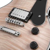 SCHECTER SOLO-II CUSTOM GNAT/BLK Электрогитара, цвет натуральный с черным