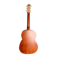 NewTone N17GASNTCE Гитара  электро-акустическая