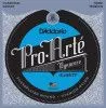 D'Addario EJ46TT