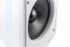 CVGaudio RF616TW Громкоговоритель настенный