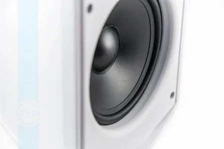 CVGaudio RF616TW Громкоговоритель настенный