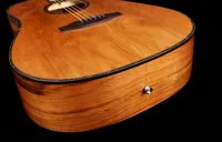 Oriental Cherry W-300-41