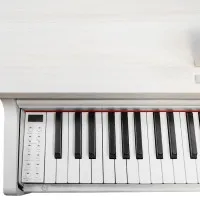 SOLISTA DP200WA Фортепиано цифровое, цвет белый ясень SOLISTA DP200WA Фортепиано цифровое, цвет белый ясень