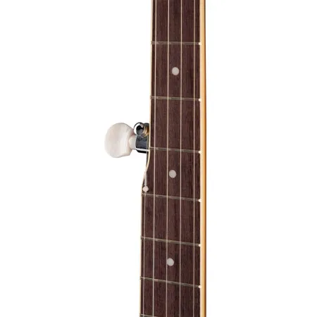 Bluegrass BJ-005-BG Банджо 5-струнное
