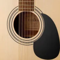 Parkwood W81-12E-WBAG-OP Гитара электроакустическая 12-струнная с чехлом