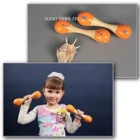 Маракасы FLIGHT FMWD-205