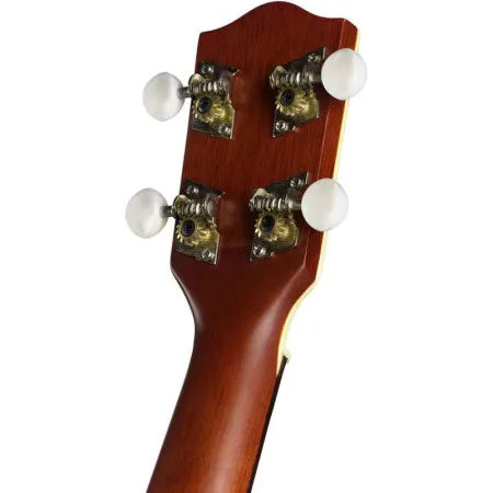 STAGG US80-S