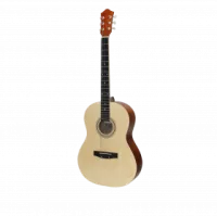 Амистар Н-20