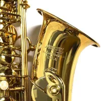 Mercury AS-301 Саксофон альт Eb, в кейсе