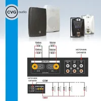 Громкоговоритель CVGaudio SF516TW