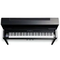 Kawai NV5S Цифровое пианино гибридное, 88 клавиш, цвет чёрный полированный Kawai NV5S Цифровое пианино гибридное, 88 клавиш, цвет чёрный полированный