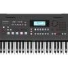 Roland E-X50 Синтезатор с автоаккомпанементом, 61 клавиша