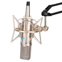 Alctron CM6-MKII Микрофон студийный конденсаторный, кардиоидный