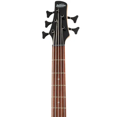 IBANEZ GSR205B-WNF Бас-гитара, 5 струн, HH, орех, матовый лак