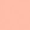 ROSCO Supergel №304 Pale Apricot