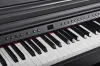 Artesia DP-3 Satin