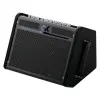 DK iC-100 Комбоусилитель для акустической гитары, 100Вт, портативный