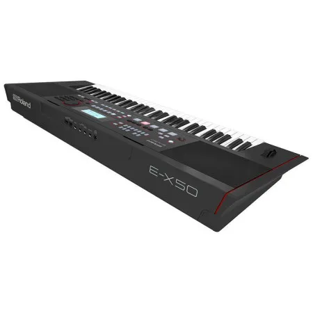 Roland E-X50 Синтезатор с автоаккомпанементом, 61 клавиша