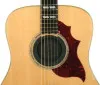 PLANET WAVES PW-SH-01
