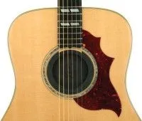 PLANET WAVES PW-SH-01