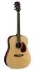 Гитара акустическая CORT Earth 100R NAT