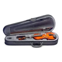 STAGG VL-1/4 Скрипка акустическая размера 1/4 в футляре, смычок и мостик в комплекте STAGG VL-1/4 Скрипка акустическая размера 1/4 в футляре, смычок и мостик в комплекте