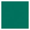 ROSCO SUPERGEL №094 Kelly Green - Светофильтр пленочный цвет ярко-зеленый (лист 50х61см)