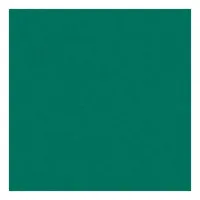 ROSCO SUPERGEL №094 Kelly Green - Светофильтр пленочный цвет ярко-зеленый (лист 50х61см) ROSCO SUPERGEL №094 Kelly Green - Светофильтр пленочный цвет ярко-зеленый (лист 50х61см)