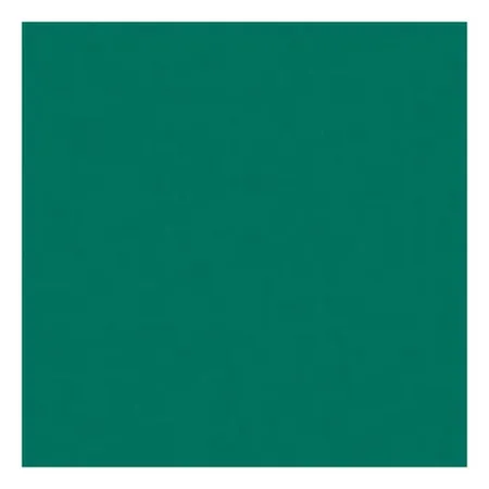 ROSCO SUPERGEL №094 Kelly Green - Светофильтр пленочный цвет ярко-зеленый (лист 50х61см)