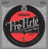 D'Addario EJ30