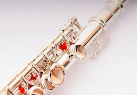 Флейта Пикколо Fleet FLT-PC-S