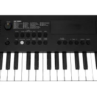 SOLISTA SK49BK Синтезатор 49 клавиш, цвет чёрный SOLISTA SK49BK Синтезатор 49 клавиш, цвет чёрный