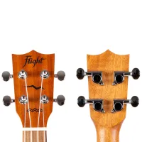 Flight AUC-33 Jungle4