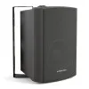 CVGaudio NF5TBL Громкоговоритель настенный