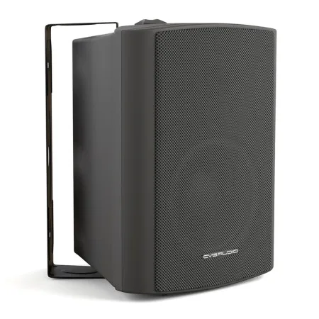 CVGaudio NF5TBL Громкоговоритель настенный