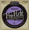 D'Addario EXP44