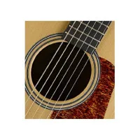 Гитара акустическая CORT L 100C NS