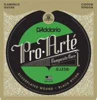 D'Addario EJ25B