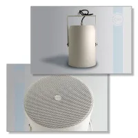 Громкоговоритель CVGaudio SPP6T