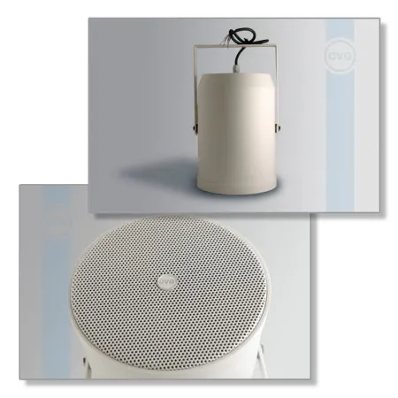 Громкоговоритель CVGaudio SPP6T