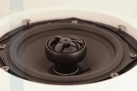 Громкоговоритель CVGaudio CRX5T