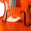 Hora B100-4/4 Rhapsody Student Контрабас студенческий
