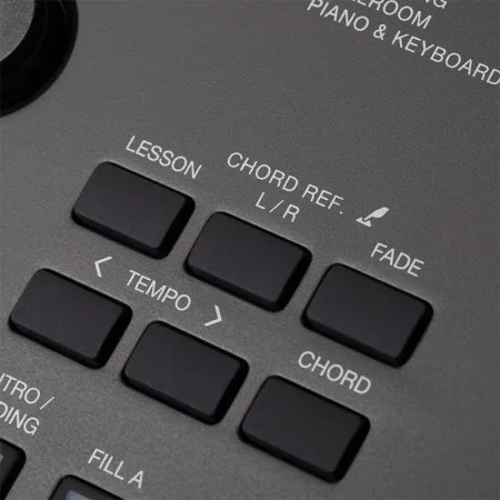 ROCKDALE Premiere 2 Lights Синтезатор с автоаккомпанементом и подсветкой клавиш