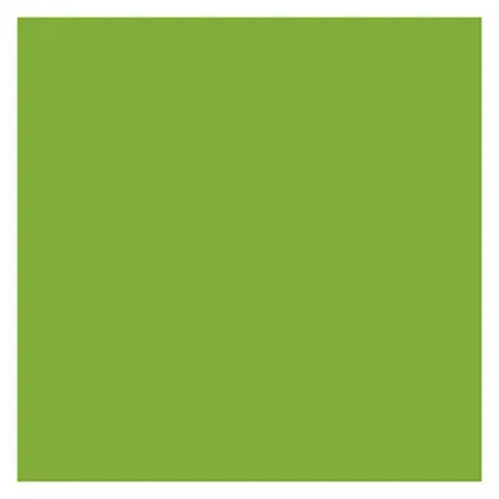 ROSCO SUPERGEL №086 Pea Green - Светофильтр пленочный цвет 