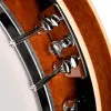 Bluegrass BJ-005-BG Банджо 5-струнное