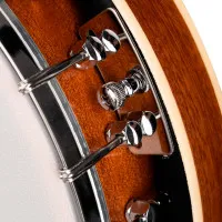 Bluegrass BJ-005-BG Банджо 5-струнное