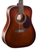 Cort Earth70 BR